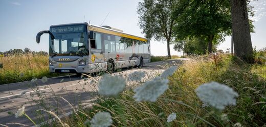 Der Buchholz Bus fährt auf einer Landstraße